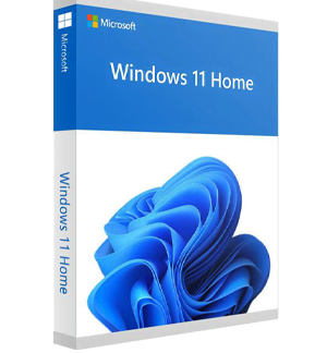 Windows 11 Home OEM