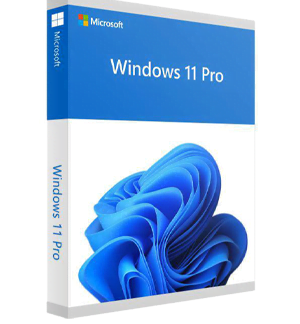 Windows 11 pro OEM
