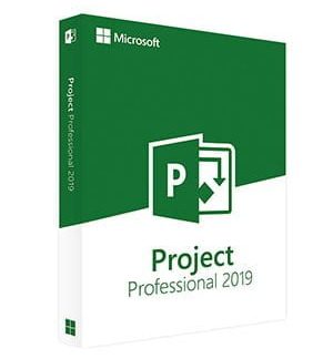Project 2019 Standard