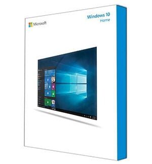 Windows 10 Home OEM - DM
